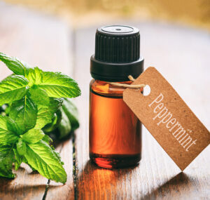Peppermint essential oil,
