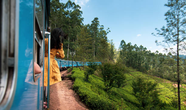 Best Tourist Attractions in Ooty