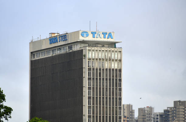 Tata Steel Share Price: Investment Opportunities and Risks