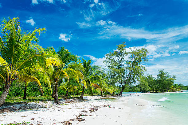 Koh Rong