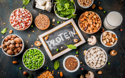 Importance of Protein: When to Eat for Maximum Benefits