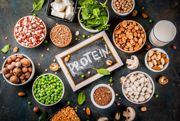 Importance of Protein: When to Eat for Maximum Benefits